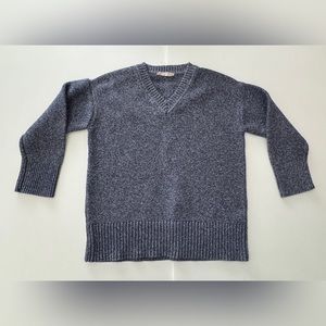 Everlane Women's The Link-Stitch V Neck Pullover Sweater Cotton Knit Blu…